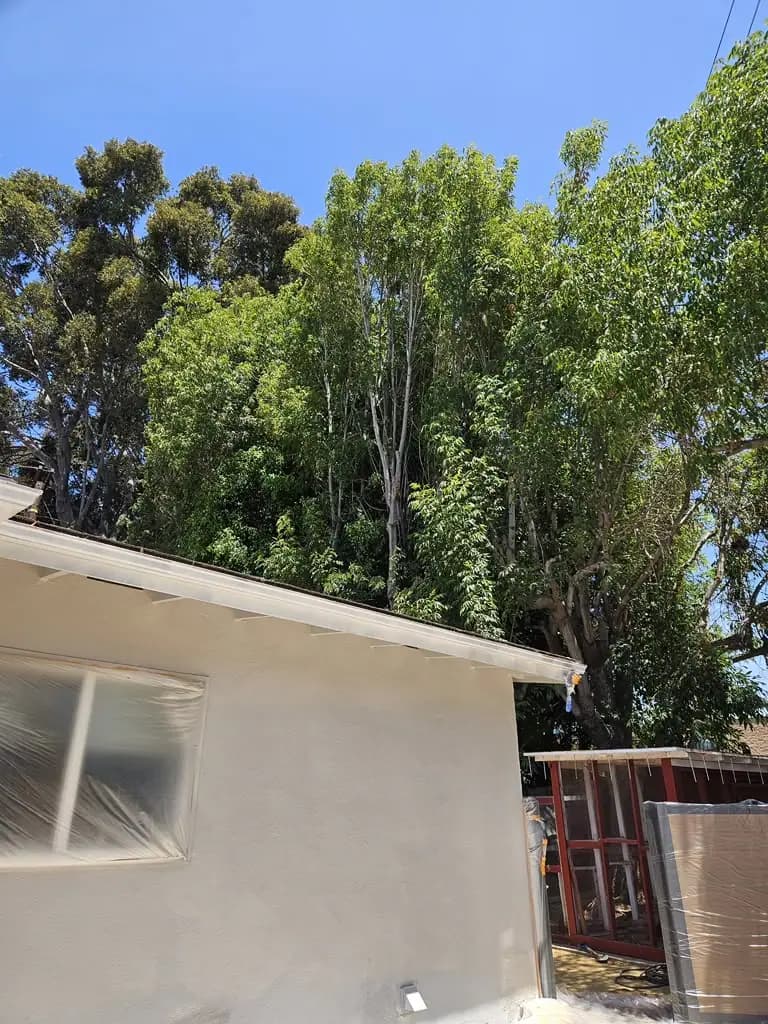 CaliCoat painting and plastering project 34 in Southern California